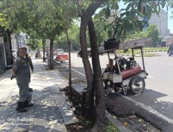 Diduga Tebang Pilih, Penertiban Satpol PP Kecamatan Krembangan Tuai Sorotan