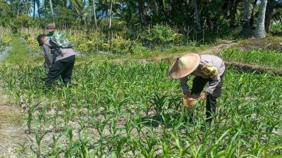 Polres Lumajang Terjunkan Personel Penggerak Ketahanan Pangan Dampingi Warga Tani